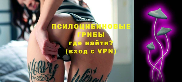 крисы Богданович