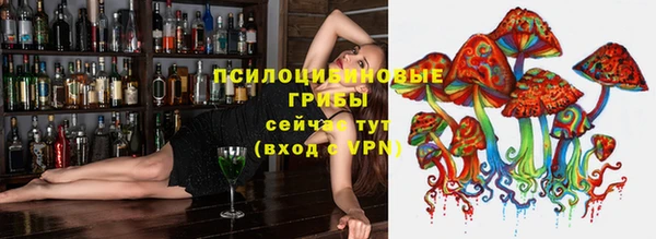 крисы Богданович