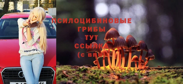 крисы Богданович